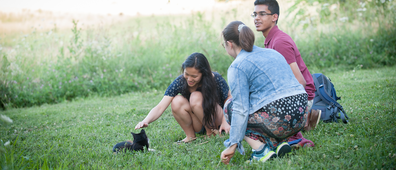 Group of students in grass petting a cat